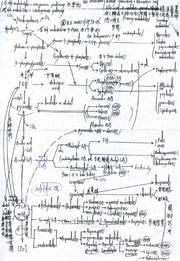部分的代謝地圖，和用到的代謝地圖。