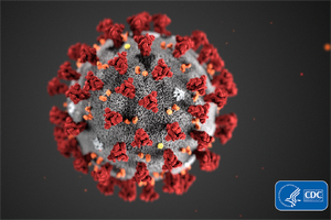 Coronavirus-ultrastructural-morphology-2019 2 6x4