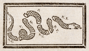 Ben Franklin’s snake