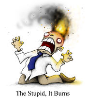 Thestupiditburns.jpg