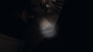 Bone in Bleasdale Farmhouse, Second Floor, Boy's Room. Glitched into rug. Strong Flashlight on. EASY TO MISS. 4