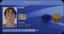 Money Bags ID Card