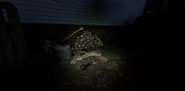 A spine on a small pile of logs, on the outside of the house.