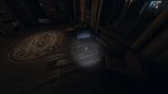 Bone in Bleasdale Farmhouse, First Floor, Office. Next to desk. 2