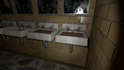 spirit or wraith SavedScreen5Copy