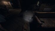Bone in Bleasdale Farmhouse, First Floor, Living Room. Next to couch. 1