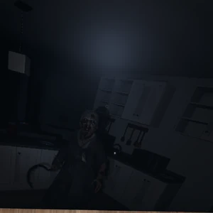 Photo Camera Phasmophobia Wiki Fandom Using uabe and asset studio, this mod changes many of the most notable portions of the core game to. photo camera phasmophobia wiki fandom