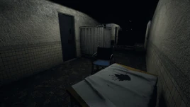 SunnyMeadowsCouloirSousSol