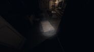 Bone in Bleasdale Farmhouse, Second Floor, Boy's Room. Glitched into rug. Strong Flashlight on. EASY TO MISS. 2