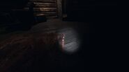 Bone in Bleasdale Farmhouse, Second Floor, Girl's Room. In front of bed. Glitched in rug. Crouched. Closeup. EASY TO MISS. 1