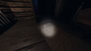 Bone in Bleasdale Farmhouse, Second Floor, Boy's Room. Glitched into rug. Crouching. Strong Flashlight on. EASY TO MISS. 1