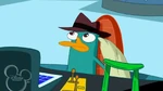 Perry wipes his left ear.