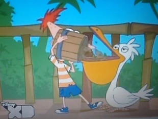 フィニアスはペリカンの足を踏むように左足を使用しています07.jpg (140キロバイト)