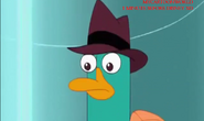 Perry misses Phineas and Ferb. He loves them.