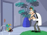 Agent P trapped in a rope