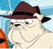 Bulldog