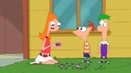 Candace Disconnected Image5.jpg (164 KB)