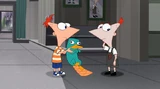 Phineas-2 admitting that Perry-2 has been gone for a long time