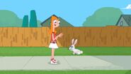 Candace finds a rabbit in the yard.