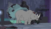 Agent Rhinoceros