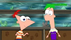 pics Profile Pictures Phineas And Ferb Matching Pfp gallery phineas and ferb the movie