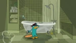Perry puts on his fedora.