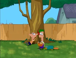 Phineas, Ferb và Perry ngồi nghỉ dưới gốc cây.