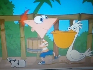 フィニアスはペリカンの足を踏むように左足を使用しています02.jpg (139キロバイト)