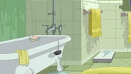 TTT-122-Looking around the bathroom.jpg (282 KB)
