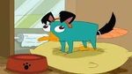Perry disguised as a dog