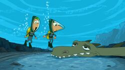 Phineas ferb nasetto.jpg