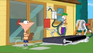 Ferb on Treadmill.jpg (119 KB)