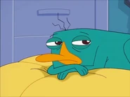 Tumblr mgg8exM6IH1rmra37o1 500.png (101 KB)