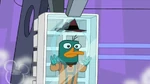 Ice tray perry.jpg (98 KB) Perry is trapped in an ice tray onboard Dr. Doofenshmirtz spaceship