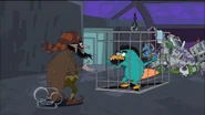 Caged kinderlump perry.jpg (118 KB)