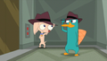 Perry and Pinky greet each other.