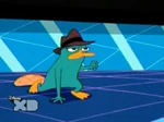 Perry the Platypus!