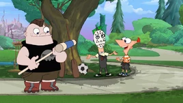 Discovering Sports