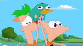 Let's take half the day to make our dreams come true