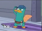 "A platypus plumber?"