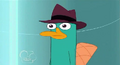 Perry sad