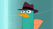 Perry sad