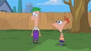 Phineas and Ferb react to Candace.