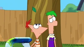 "Mùa hè không kéo dài mãi"