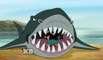 Lald027 Shark opens mouth.png (699 KB)