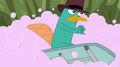 Perry surfs away on an ironing board