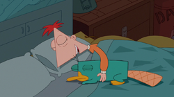Phineas sleeping with Perry