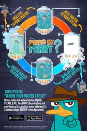Where's my perry.jpg