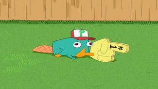 Click here to view more images from Perry the Platypus.