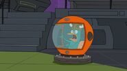 Perry has his own viking hat